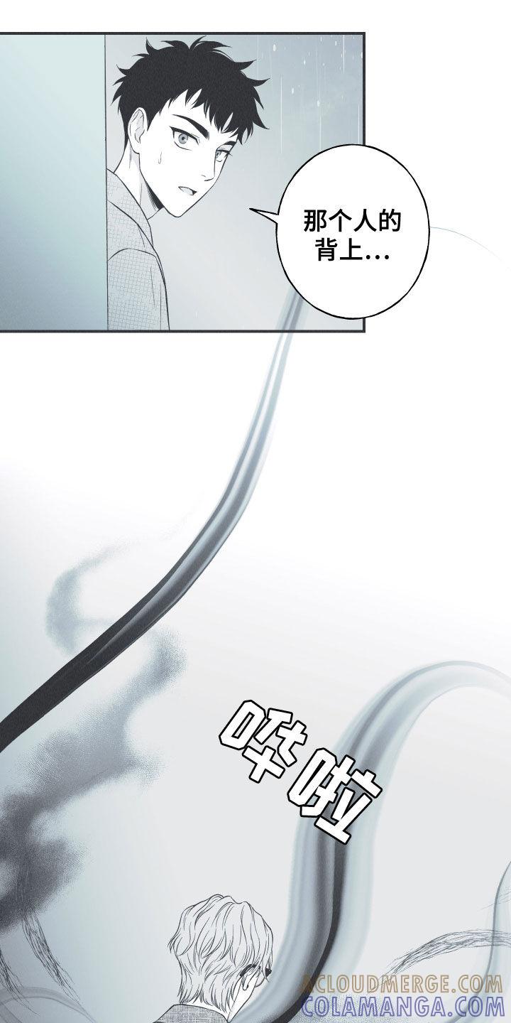 《蛇环凶危》第34章：跟踪 第21页