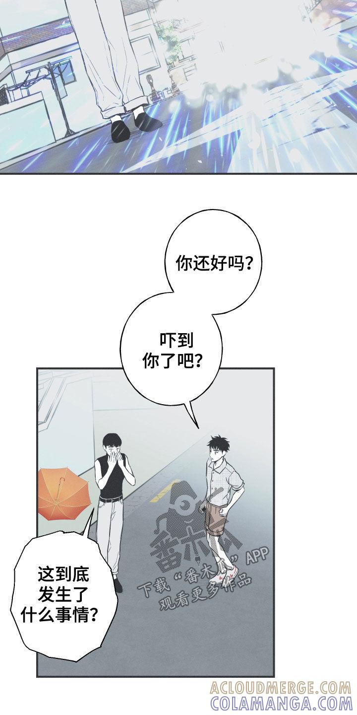 《蛇环凶危》第35章：多管闲事 第17页