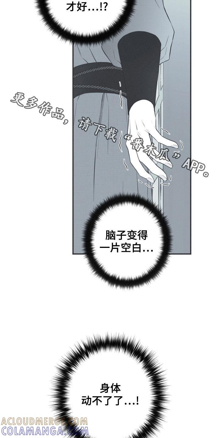 《蛇环凶危》第40章：是不是男人 第19页