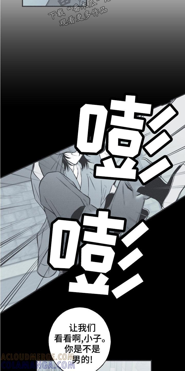 《蛇环凶危》第41章：解围 第11页
