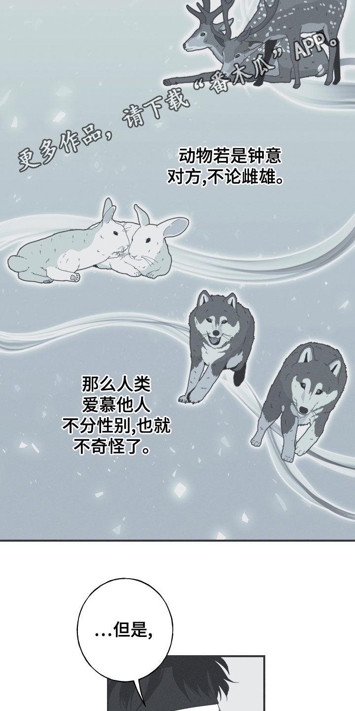 《蛇环凶危》第43章：打小报告 第2页