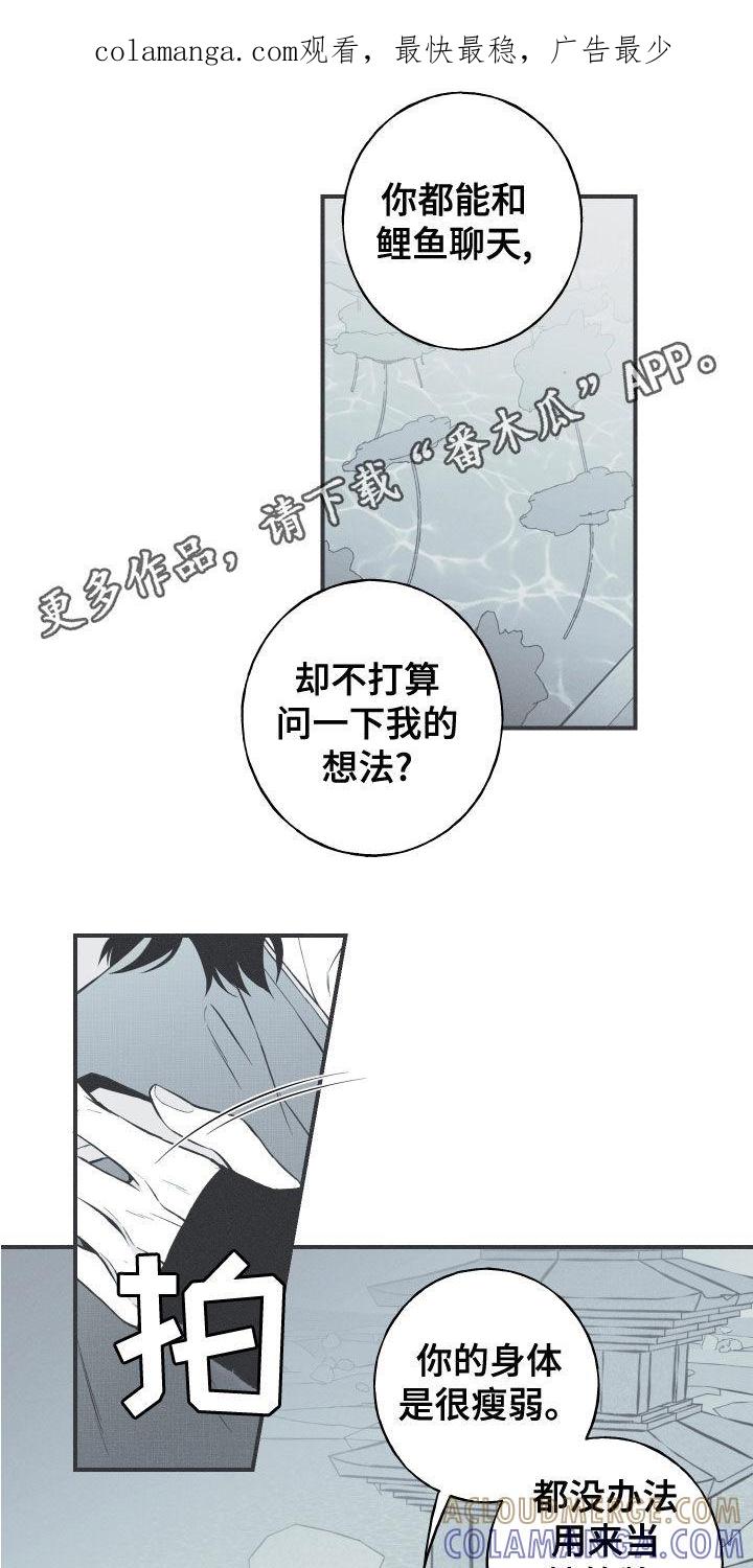 《蛇环凶危》第46章：喜欢 第1页