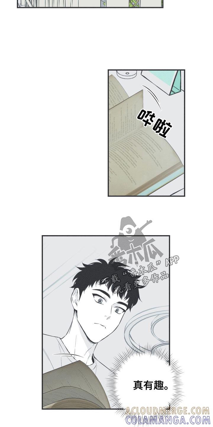 《蛇环凶危》第47章：神话集 第13页