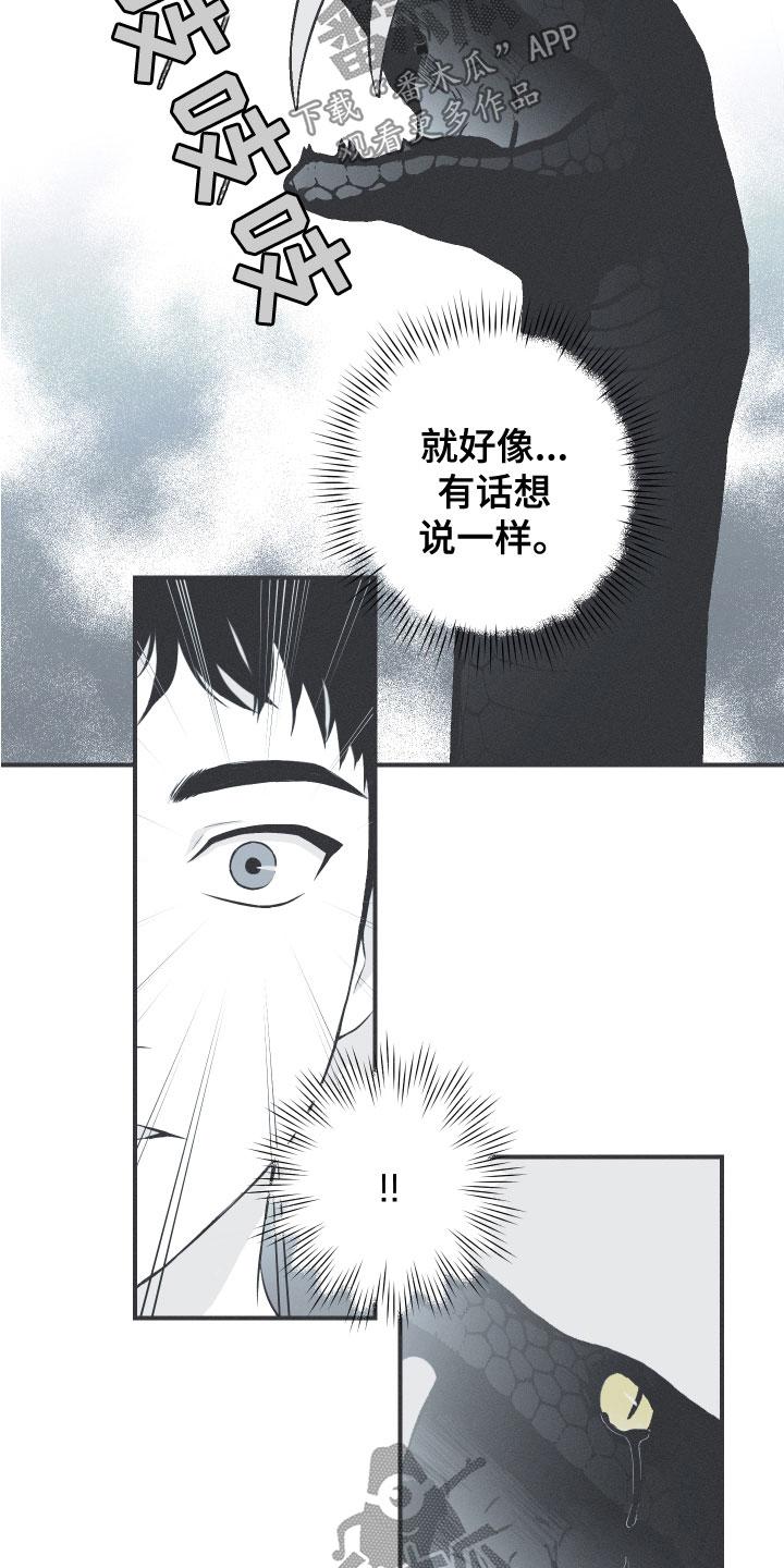 《蛇环凶危》第48章：排解相思 第14页