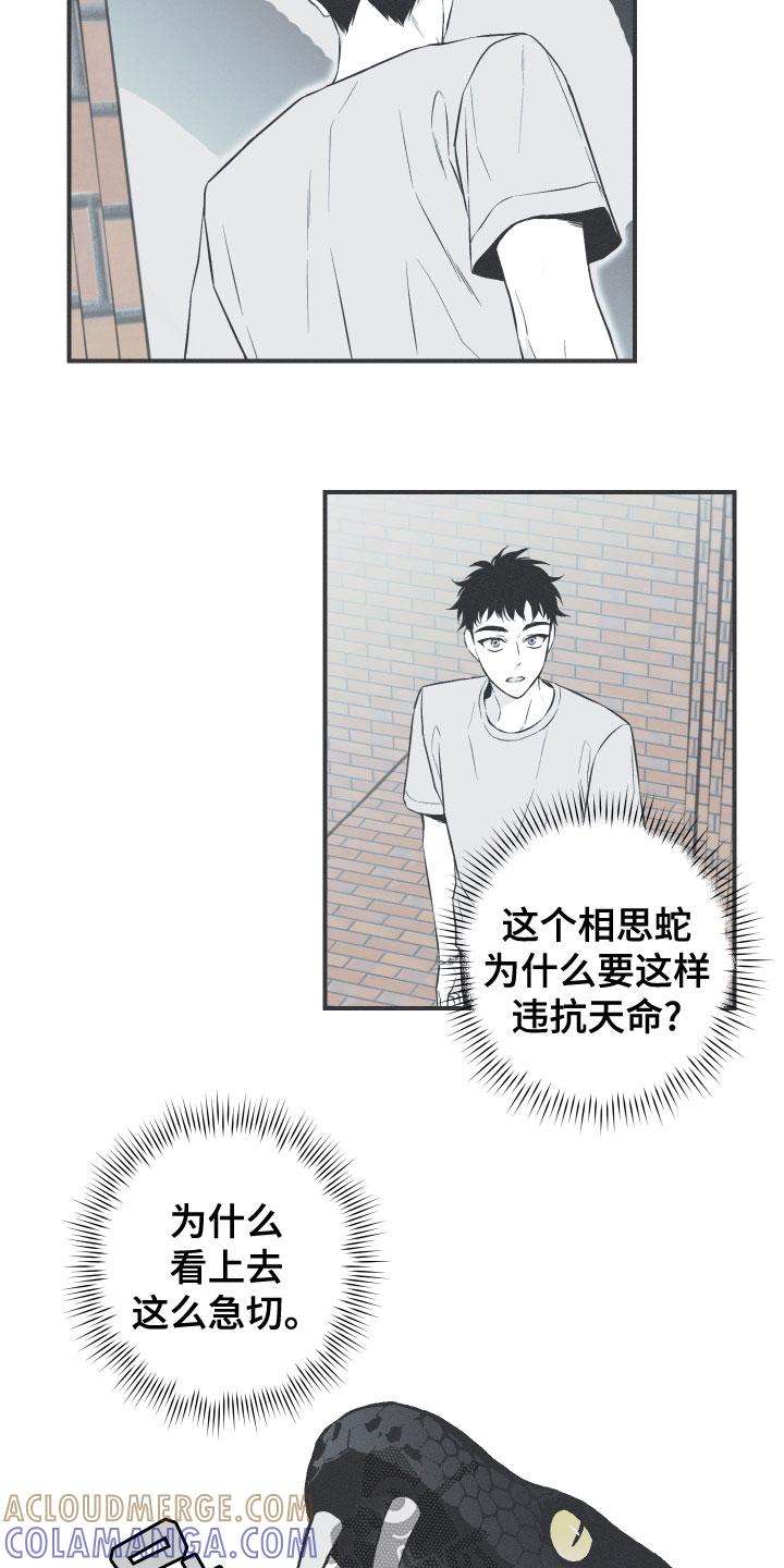 《蛇环凶危》第48章：排解相思 第13页