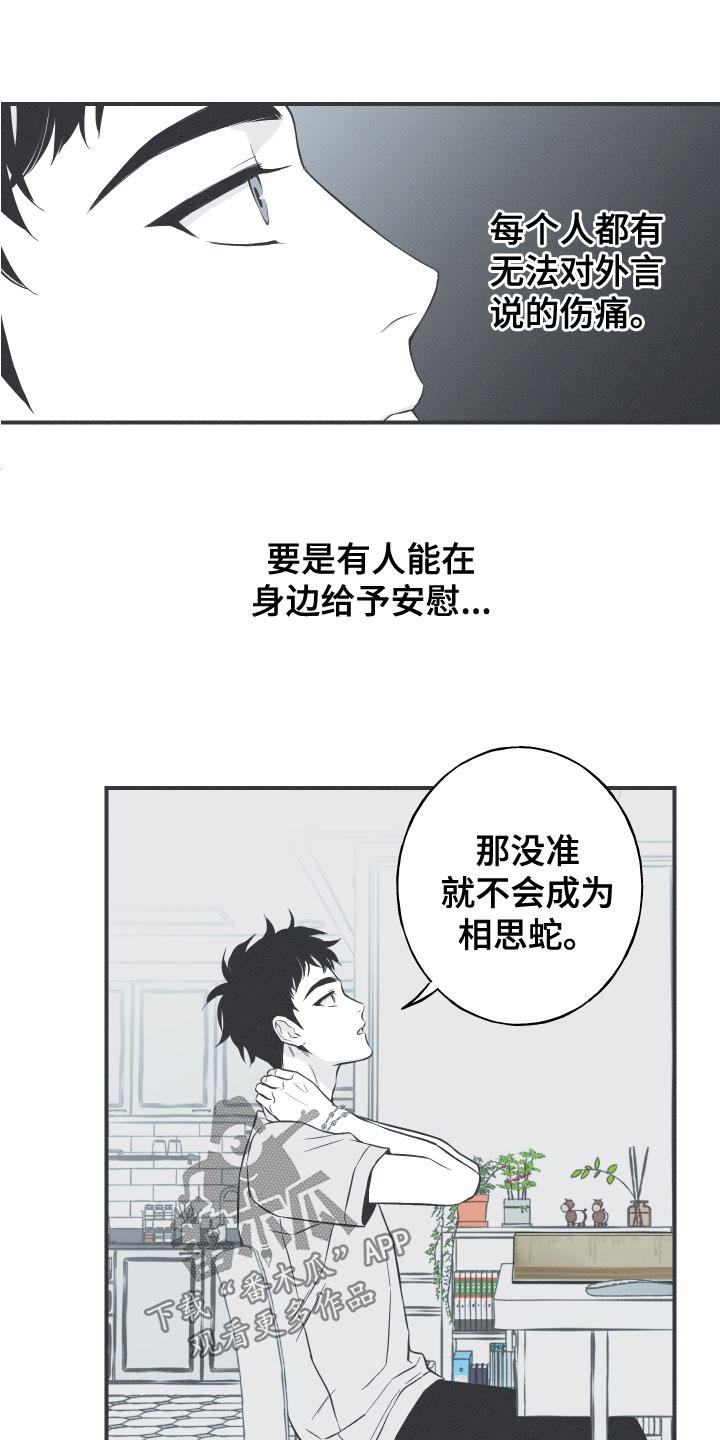 《蛇环凶危》第48章：排解相思 第2页