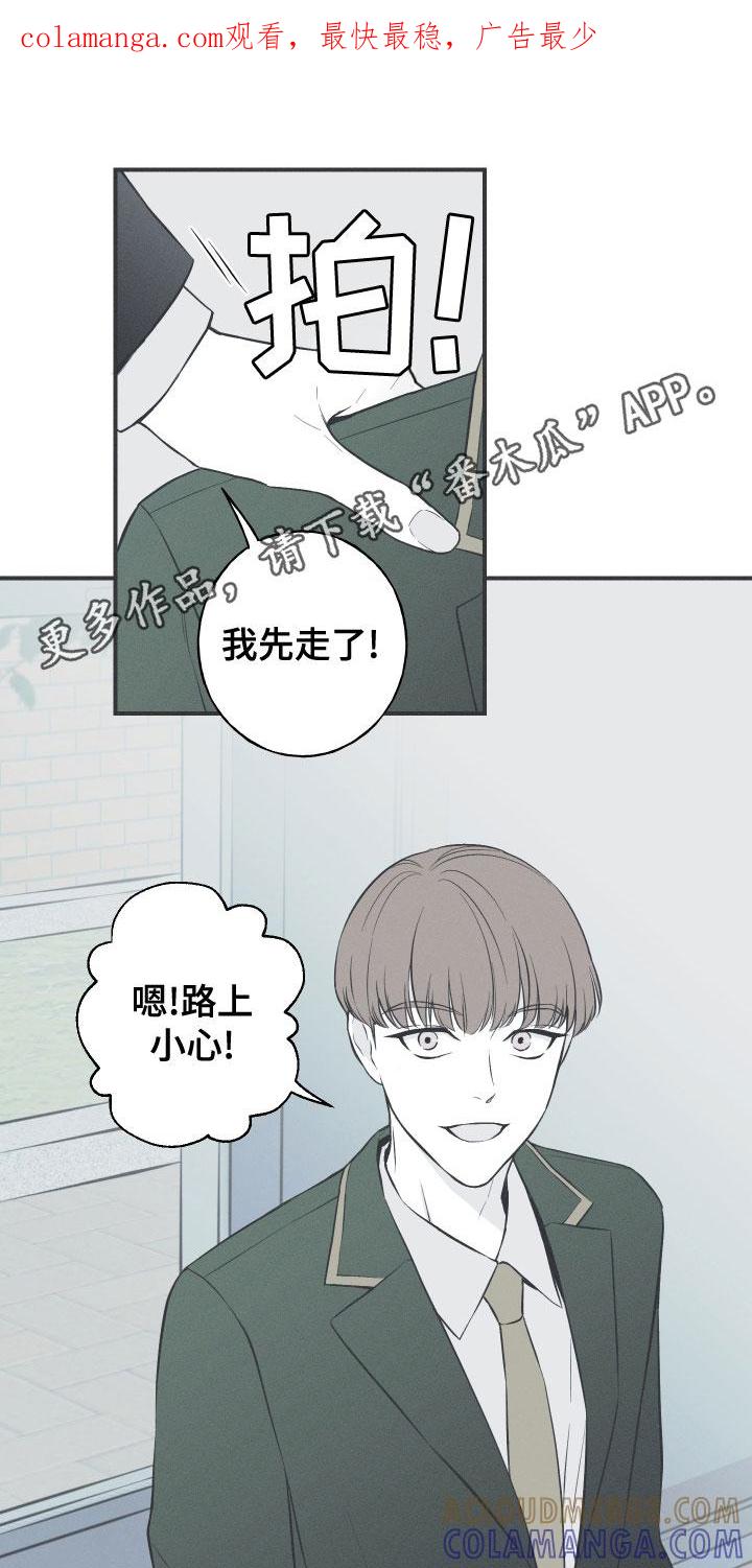 《蛇环凶危》第49章：渐行渐远 第1页