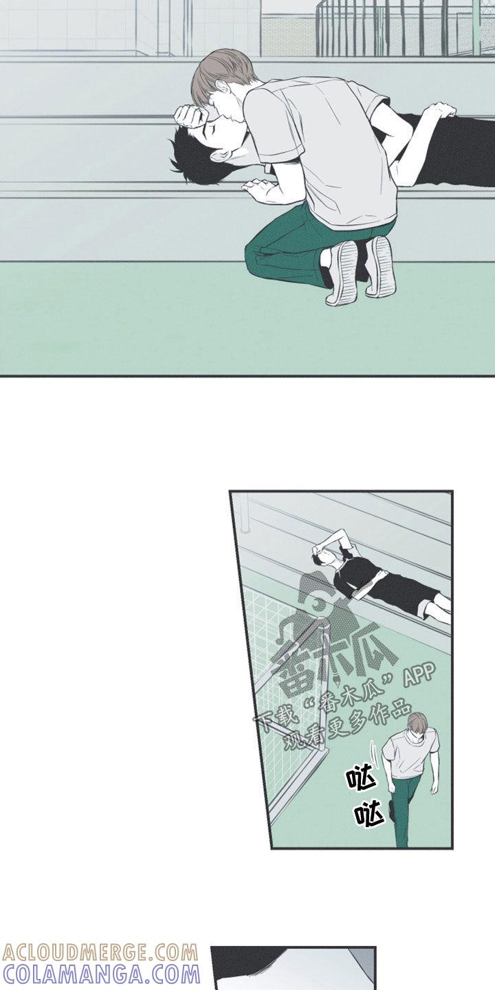 《蛇环凶危》第51章：以后不会难过了 第19页