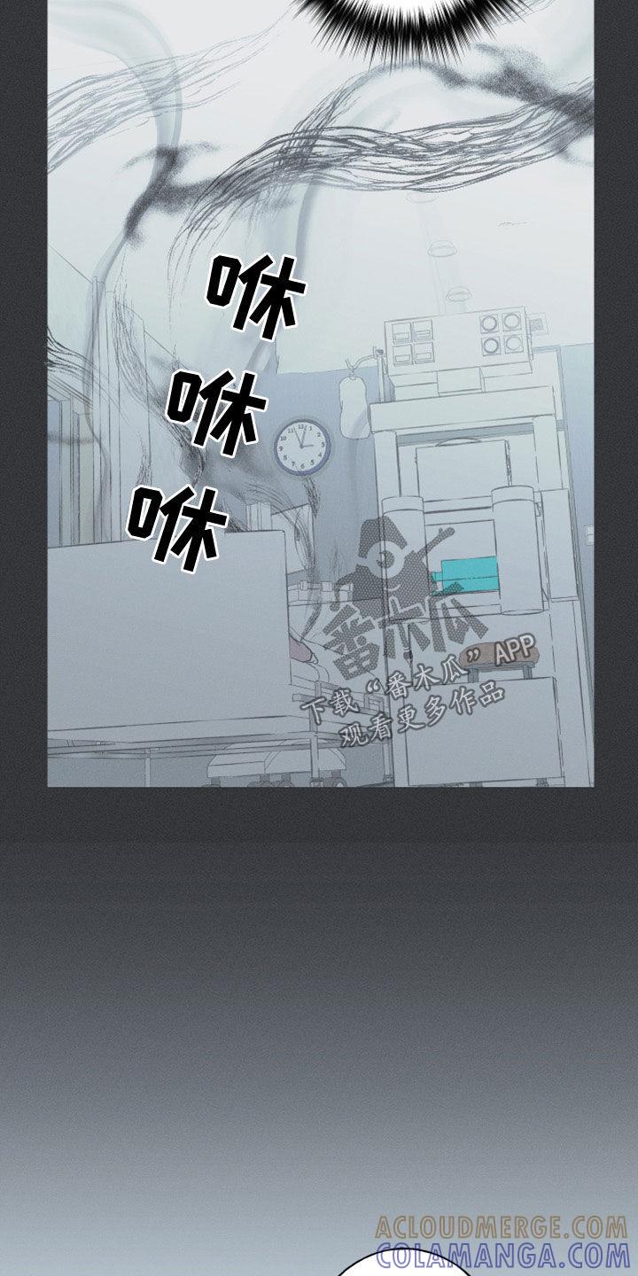 《蛇环凶危》第51章：以后不会难过了 第3页