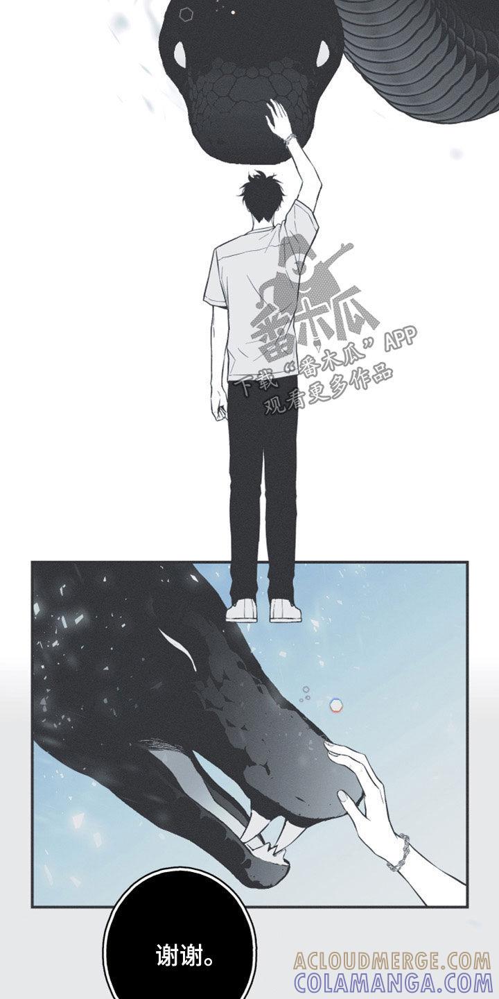 《蛇环凶危》第51章：以后不会难过了 第23页