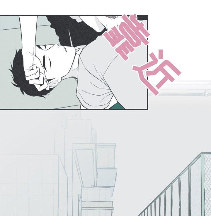《蛇环凶危》第51章：以后不会难过了 第18页