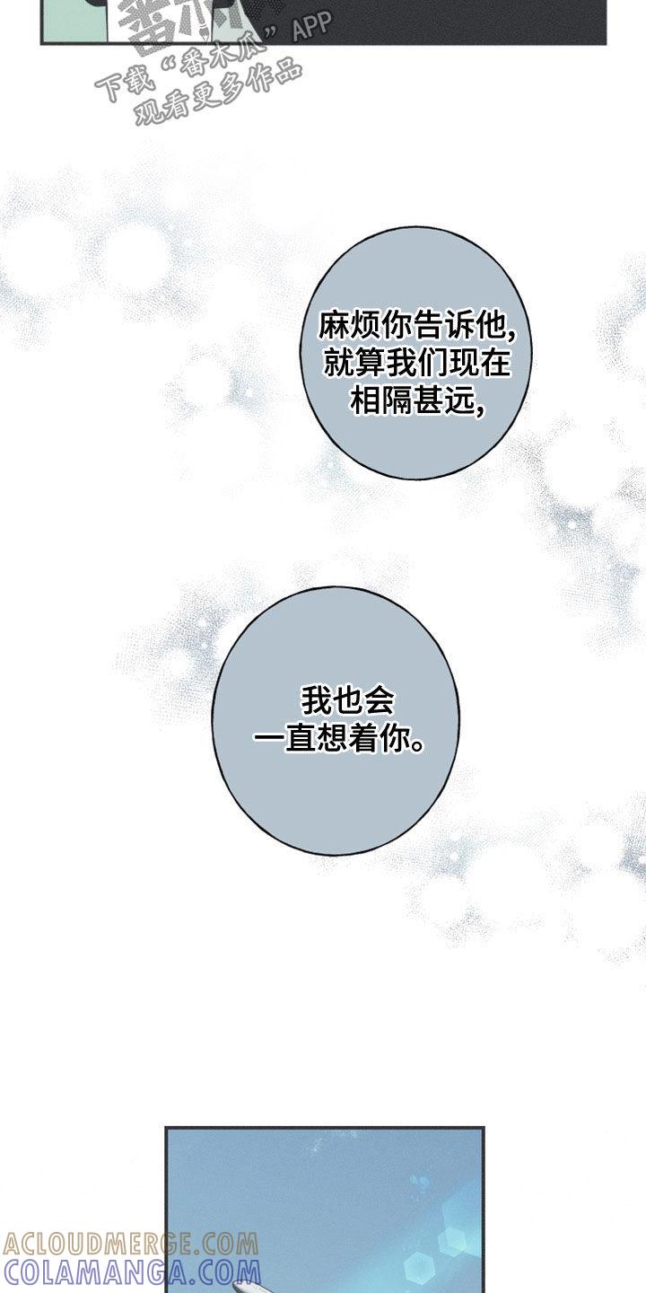 《蛇环凶危》第51章：以后不会难过了 第21页