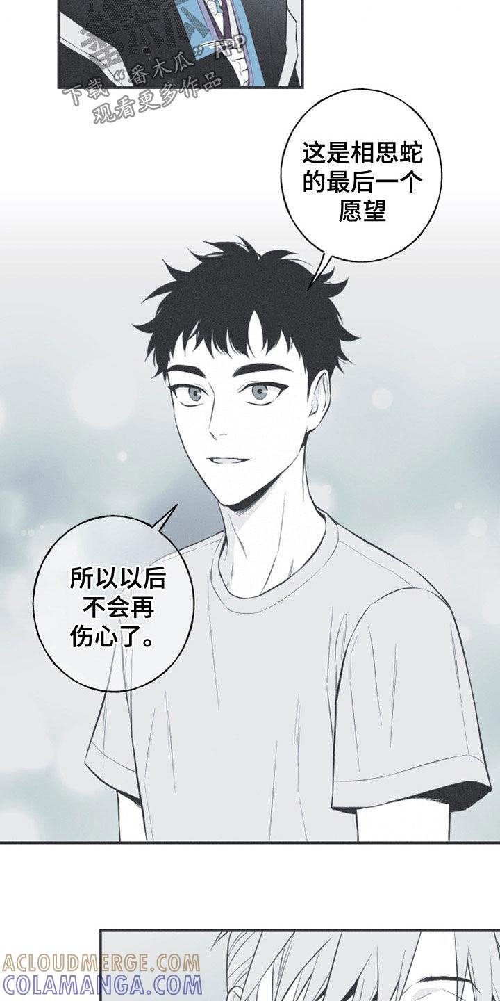 《蛇环凶危》第52章：道谢 第3页