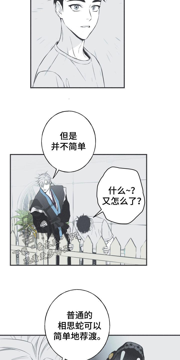 《蛇环凶危》第56章：缓解相思（第一季完结） 第8页
