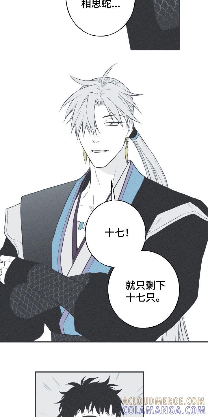 《蛇环凶危》第56章：缓解相思（第一季完结） 第7页