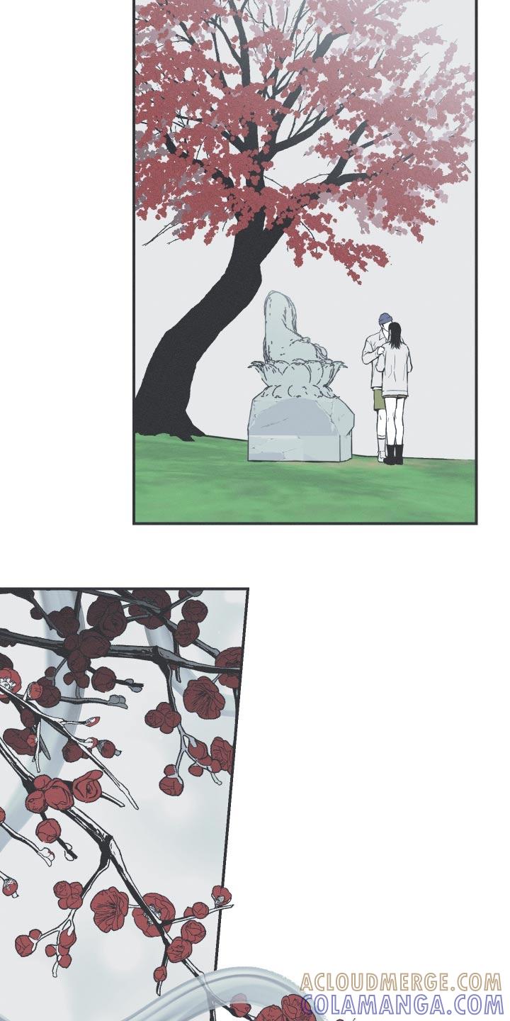 《蛇环凶危》第57章：【第二季】落地 第11页