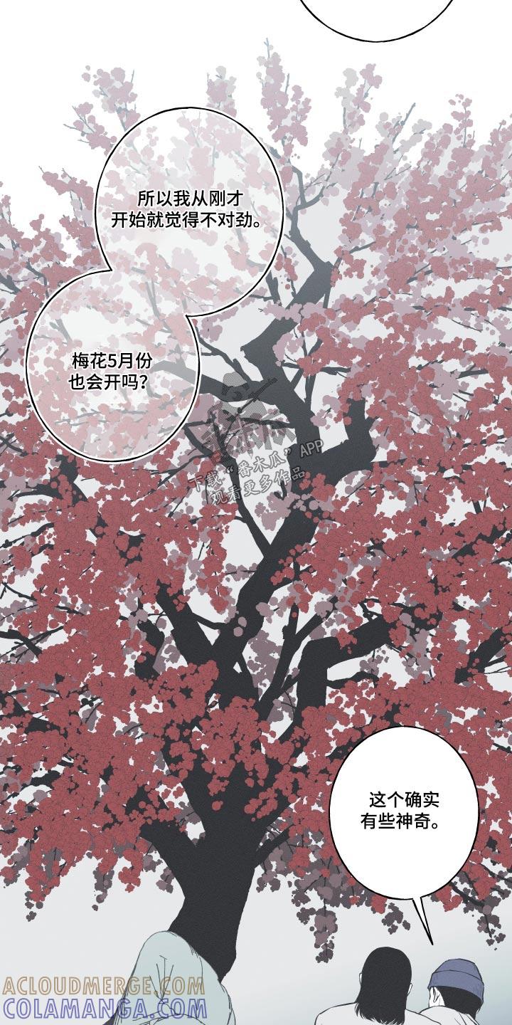 《蛇环凶危》第57章：【第二季】落地 第9页