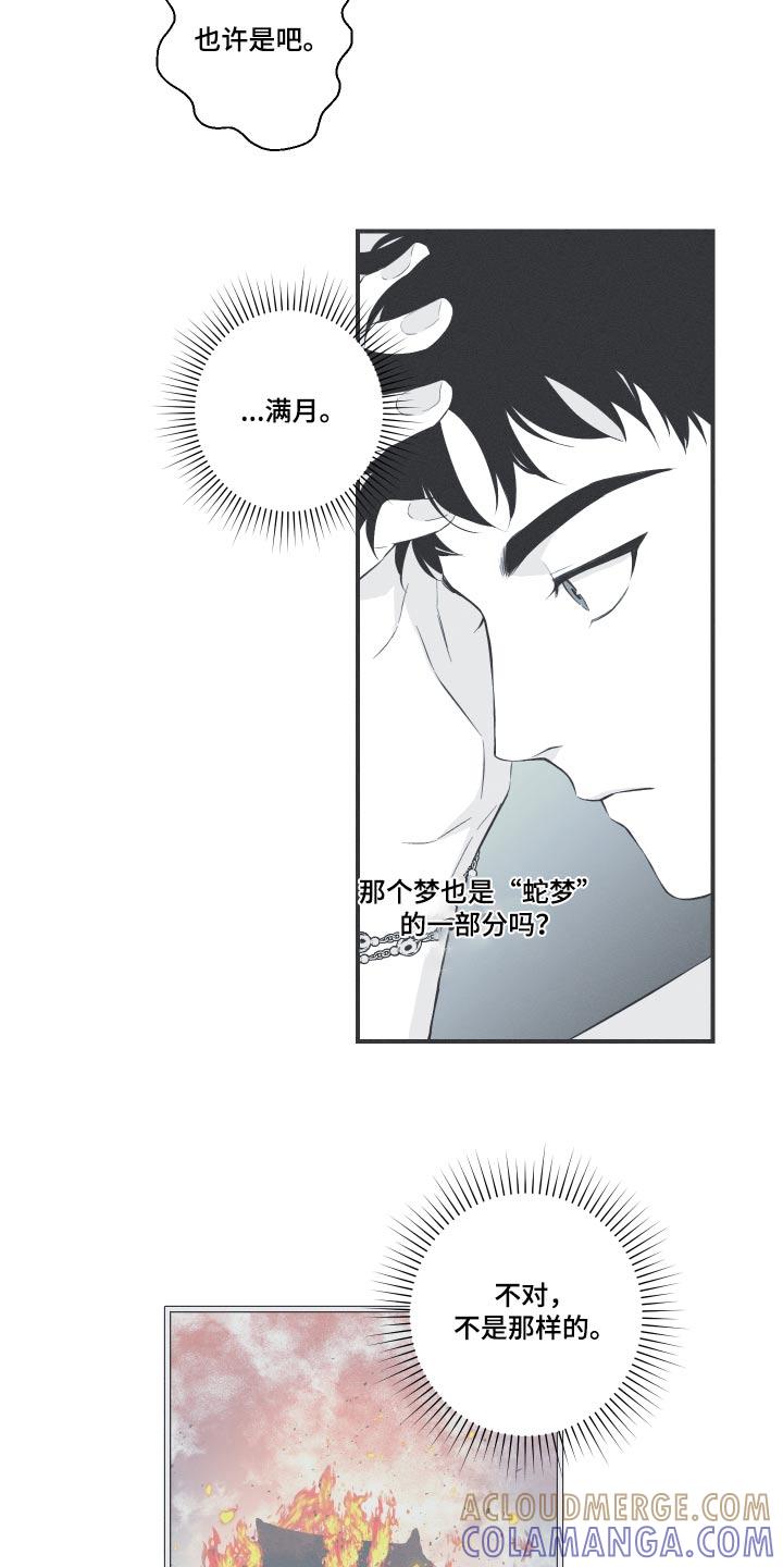 《蛇环凶危》第59章：【第二季】蛇梦 第19页