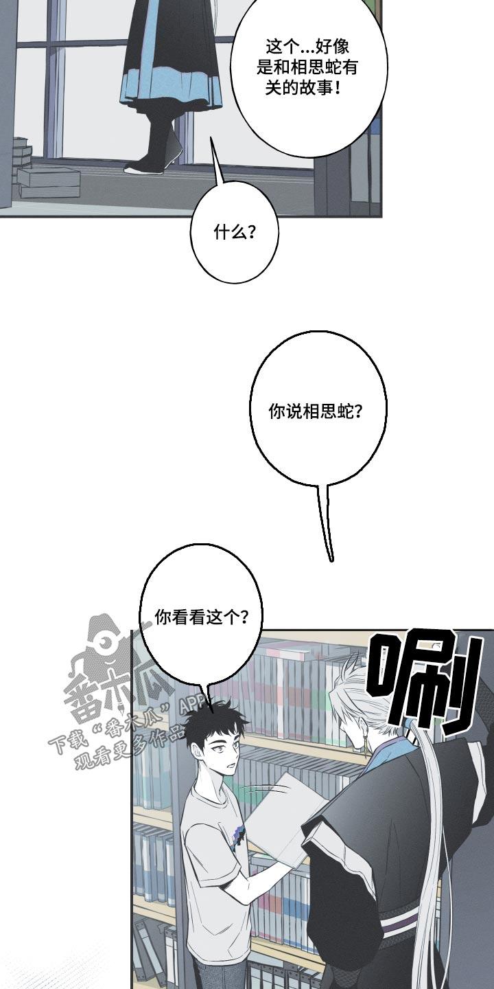 《蛇环凶危》第61章：【第二季】很像 第4页