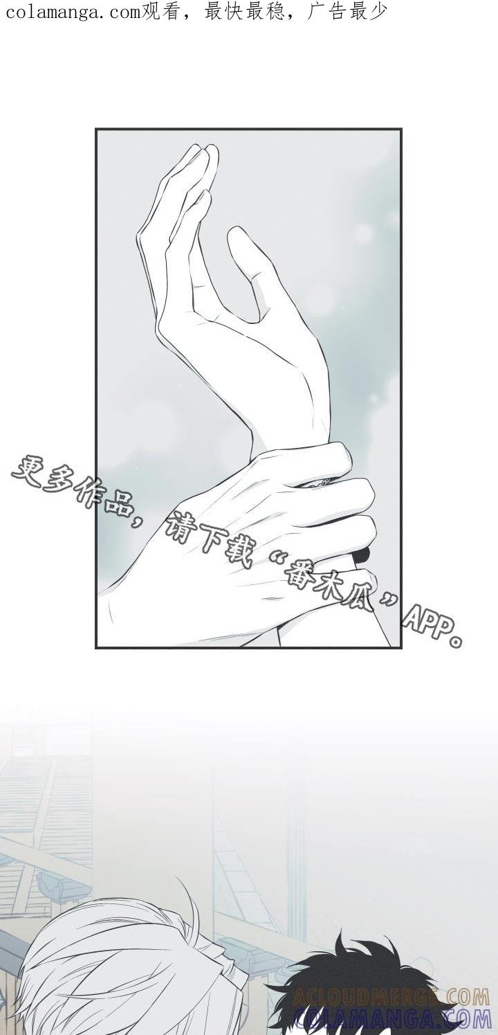 《蛇环凶危》第63章：【第二季】你知道什么 第1页