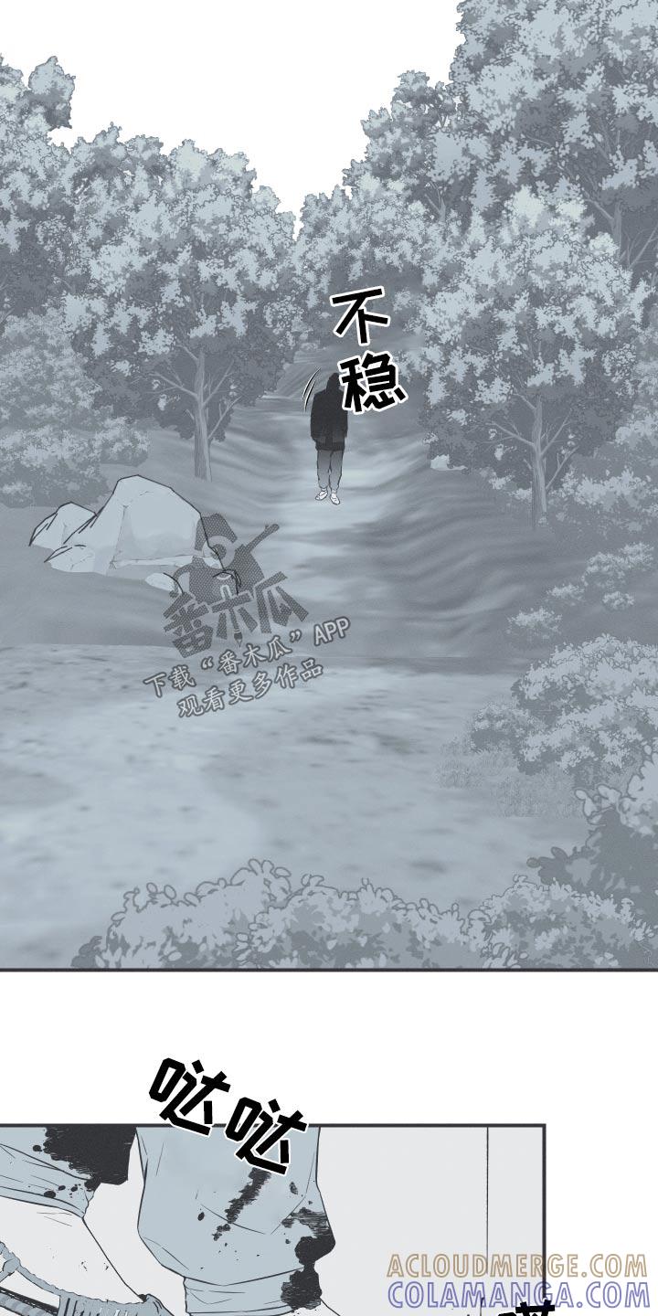 《蛇环凶危》第66章：【第二季】借用 第13页