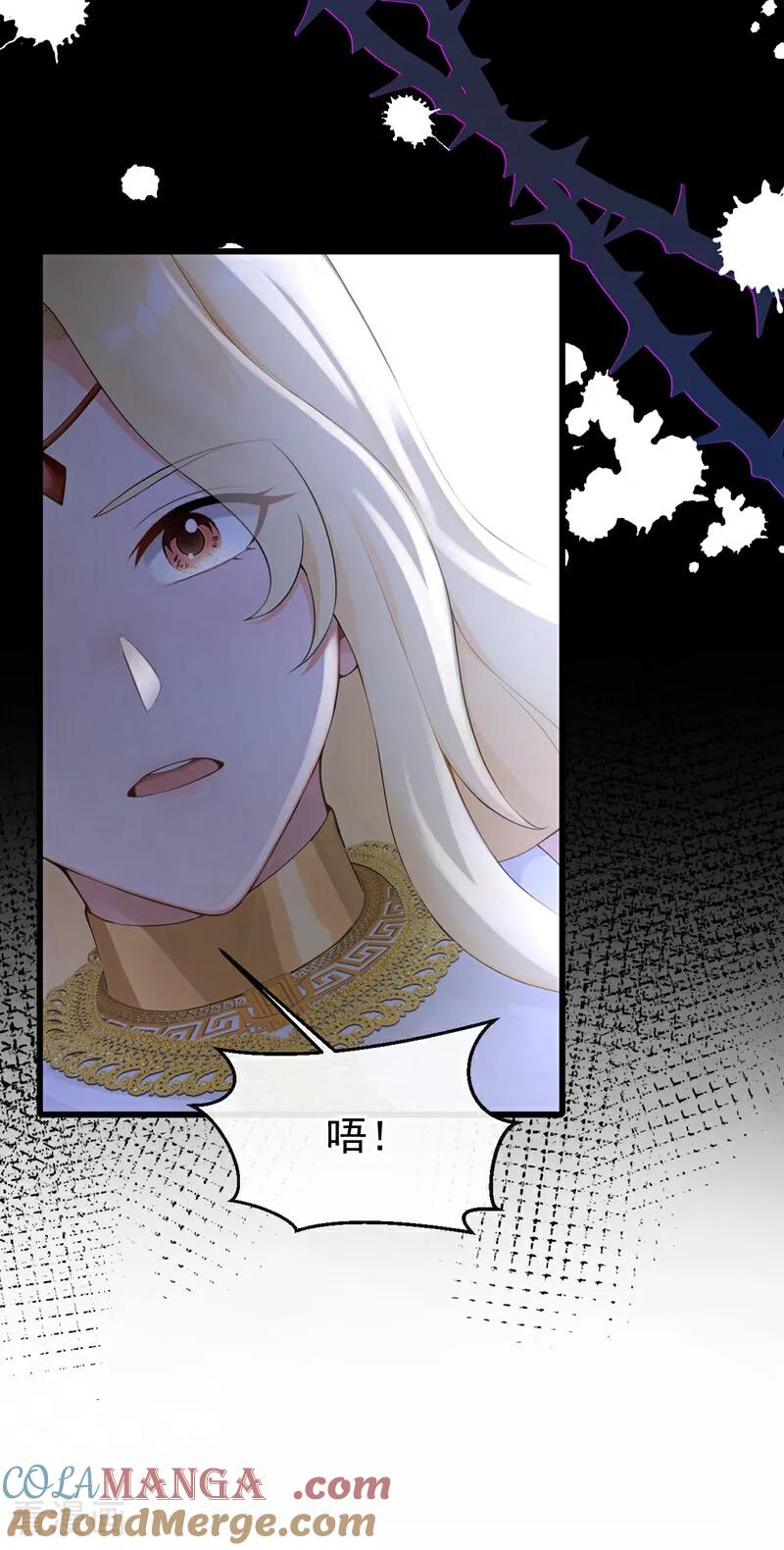 《快穿系统：反派大佬不好惹》第228话 罗伊就是洛尔！ 第13页