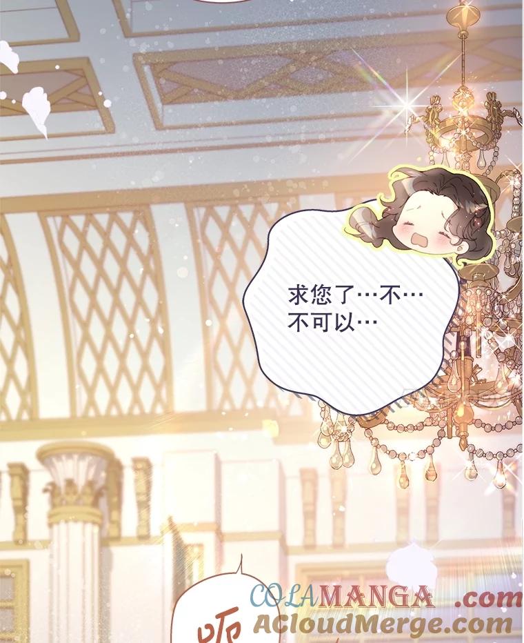 《比阿特丽丝》116.重大决定 第41页
