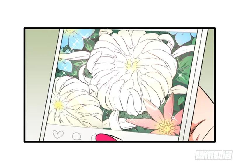 《没有你就好了》关注 第19页