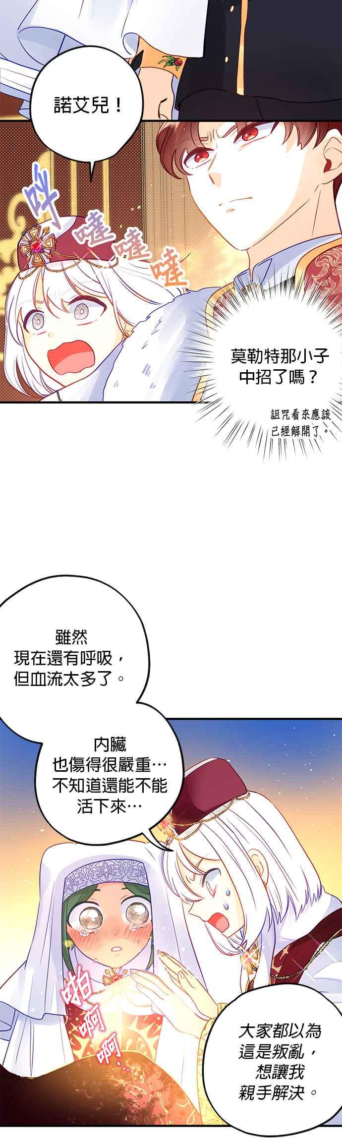 《温柔公爵的祕密》第66话 第14页