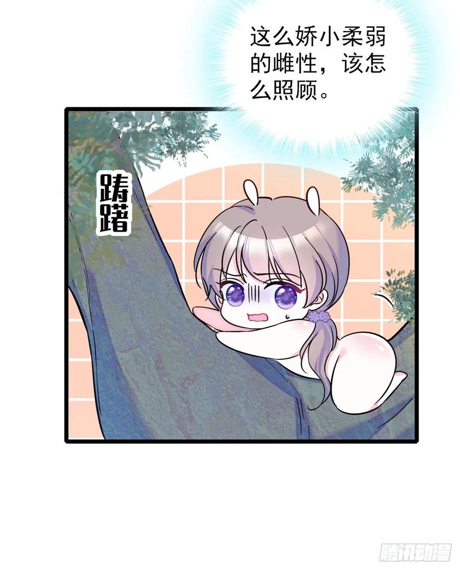 《萌动兽世（我在兽世攻略美男）》03 这是，动物世界？ 第26页