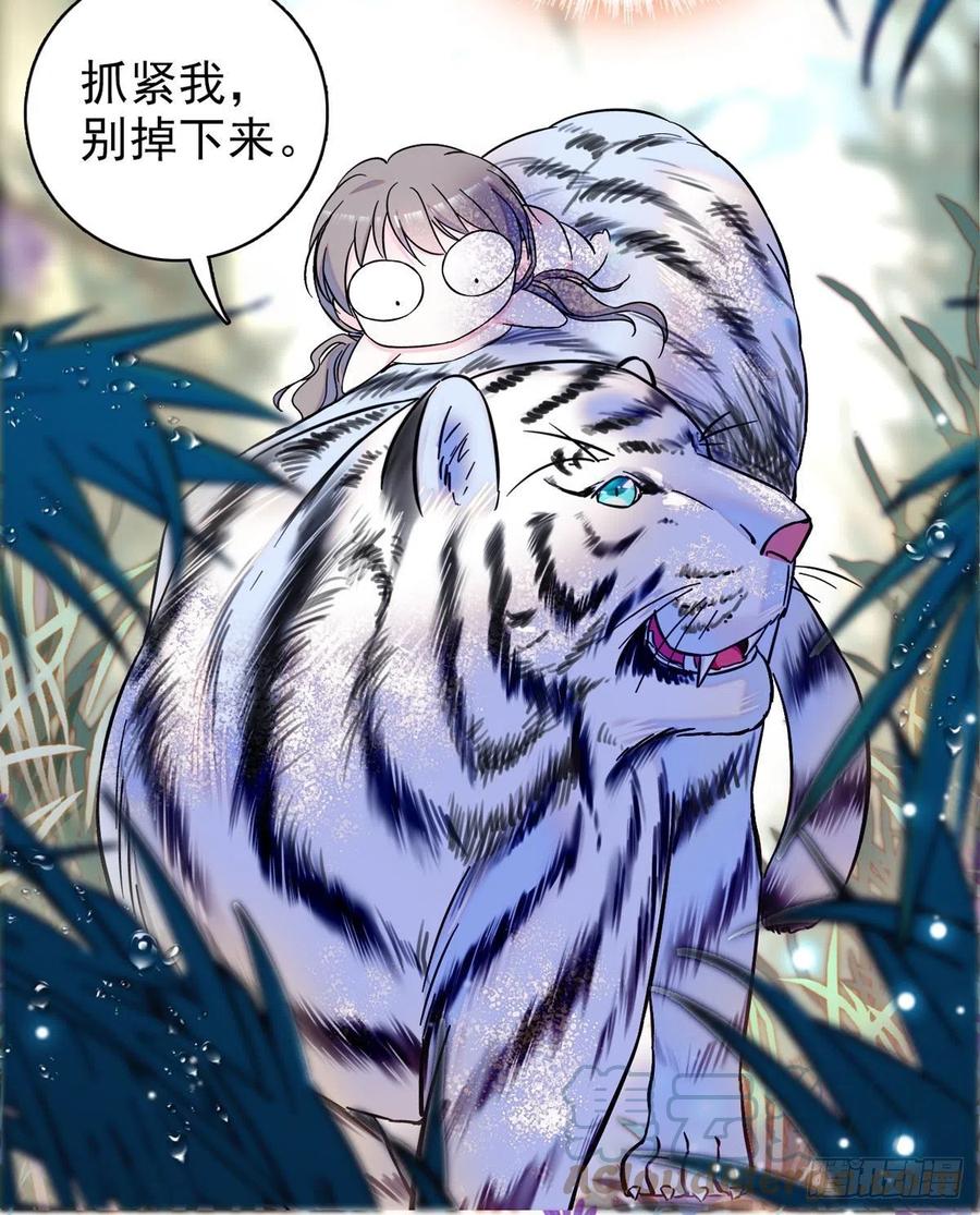《萌动兽世（我在兽世攻略美男）》03 这是，动物世界？ 第5页