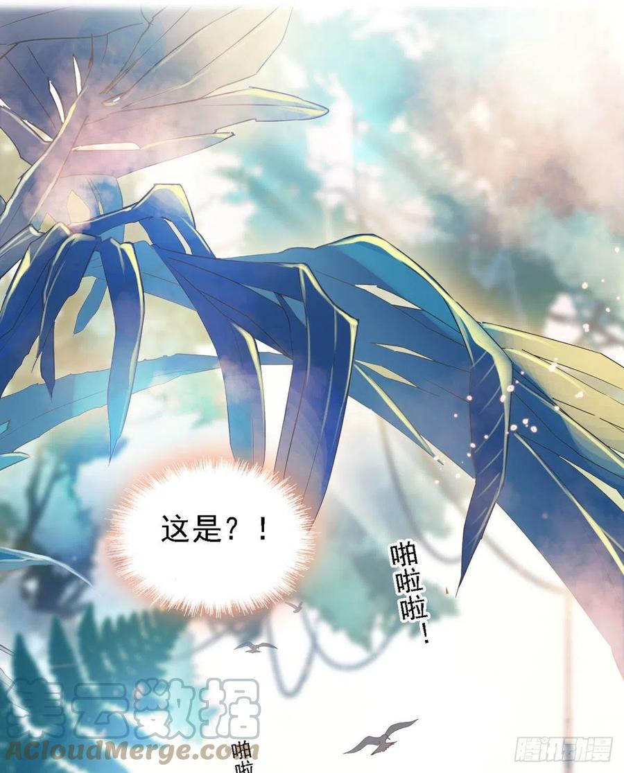 《萌动兽世（我在兽世攻略美男）》01 我和一条毛巾穿越了 第11页