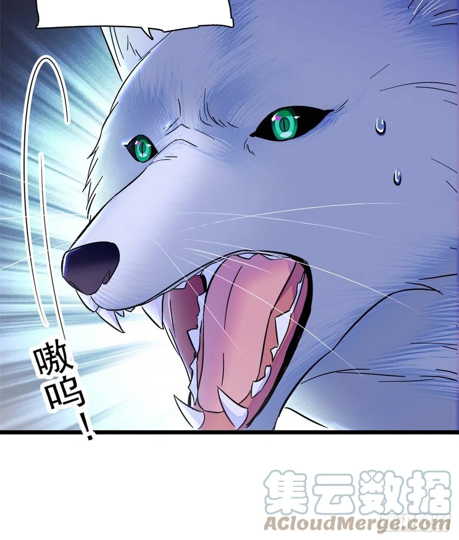《萌动兽世（我在兽世攻略美男）》19 你是个笨蛋 第5页