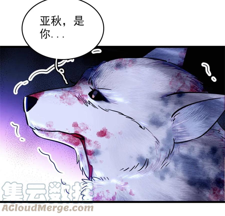 《萌动兽世（我在兽世攻略美男）》53 岩石狼族没有懦夫 第40页