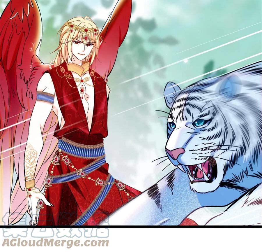 《萌动兽世（我在兽世攻略美男）》86 白帝VS血翎 第34页