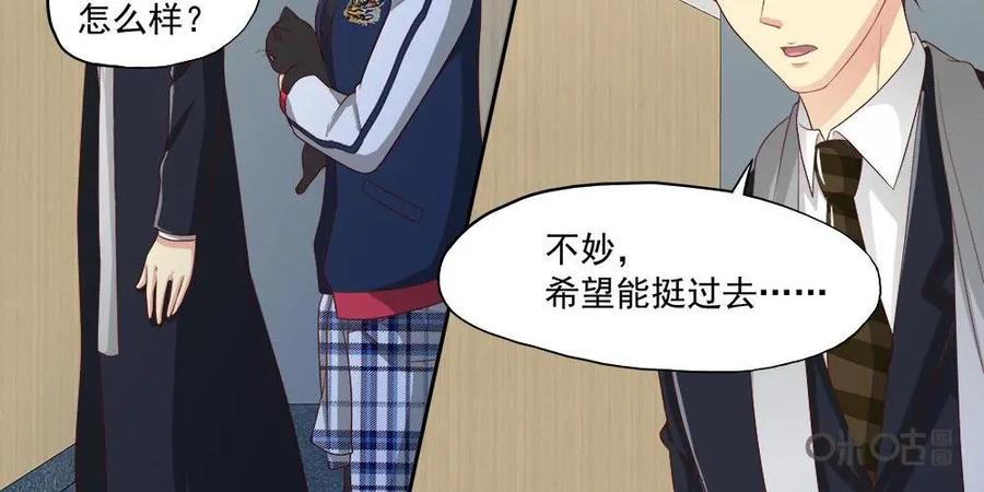 《萌灵妙探》第31话：最终话：第三晚 第18页