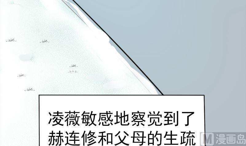 《萌妻凶猛：权少的隐婚小甜妻》挡箭牌 第9页