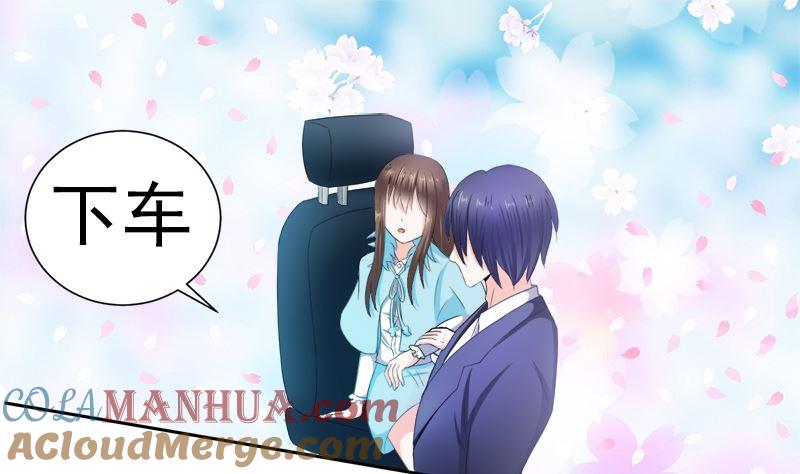 《萌妻凶猛：权少的隐婚小甜妻》挡箭牌 第37页