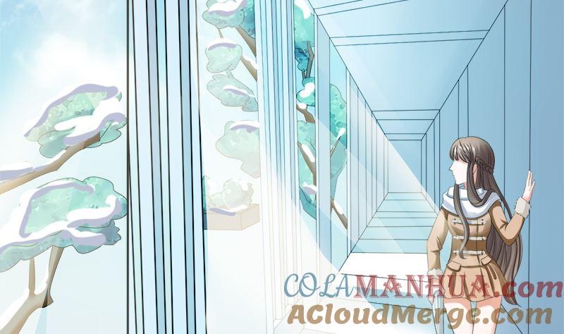 《萌妻凶猛：权少的隐婚小甜妻》捐款人：夏习之 第9页