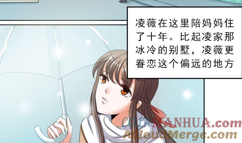 《萌妻凶猛：权少的隐婚小甜妻》捐款人：夏习之 第3页