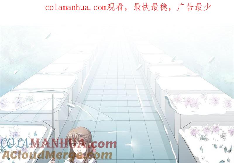 《萌妻凶猛：权少的隐婚小甜妻》捐款人：夏习之 第1页