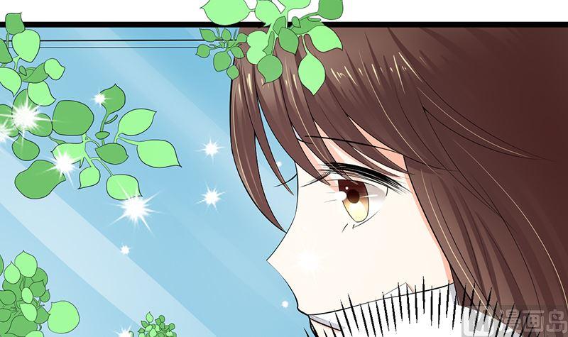 《萌妻凶猛：权少的隐婚小甜妻》赫连修 第3页