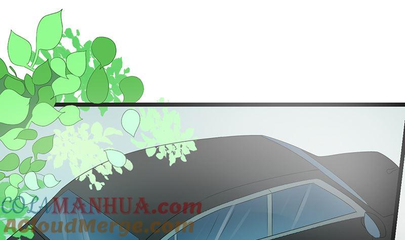 《萌妻凶猛：权少的隐婚小甜妻》赫连修 第13页