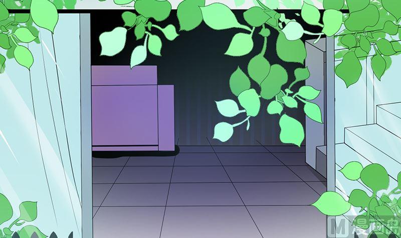 《萌妻凶猛：权少的隐婚小甜妻》赫连修 第15页