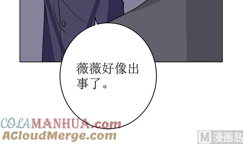 《萌妻凶猛：权少的隐婚小甜妻》给你的惊喜 第34页
