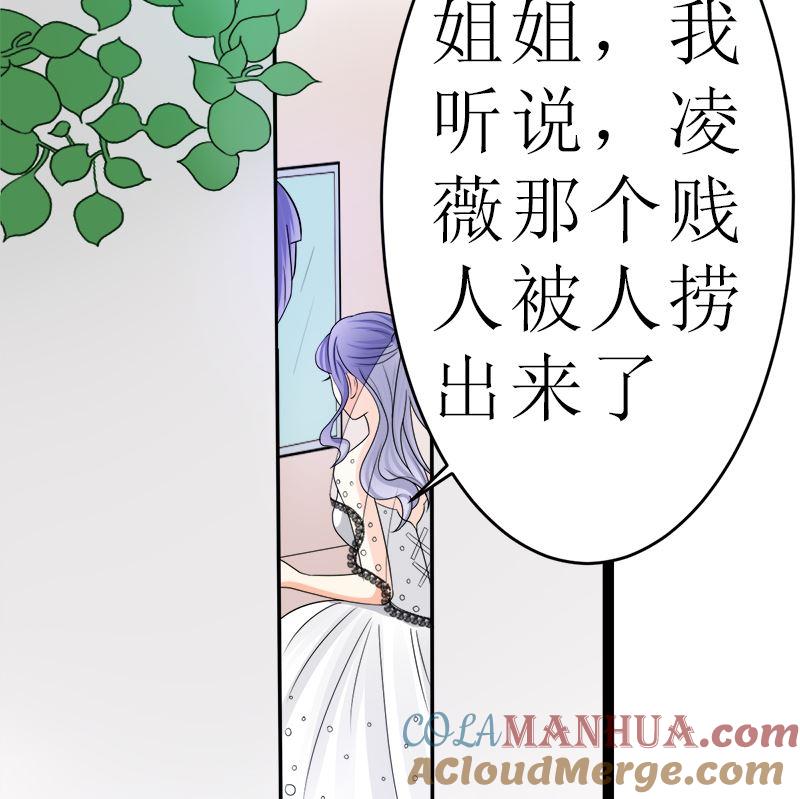 《萌妻凶猛：权少的隐婚小甜妻》抢走她未婚夫的人竟然是她的姐姐 第58页