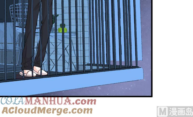 《萌妻凶猛：权少的隐婚小甜妻》礼尚往来 第43页