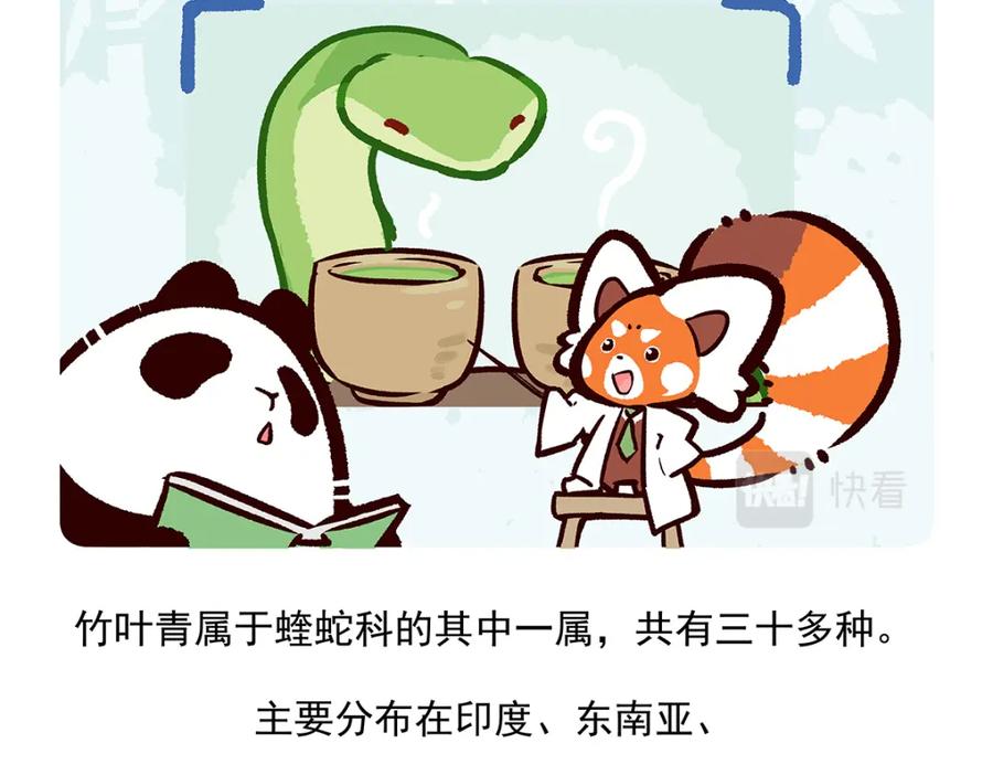 《胖达x胖达》第74话 第20页
