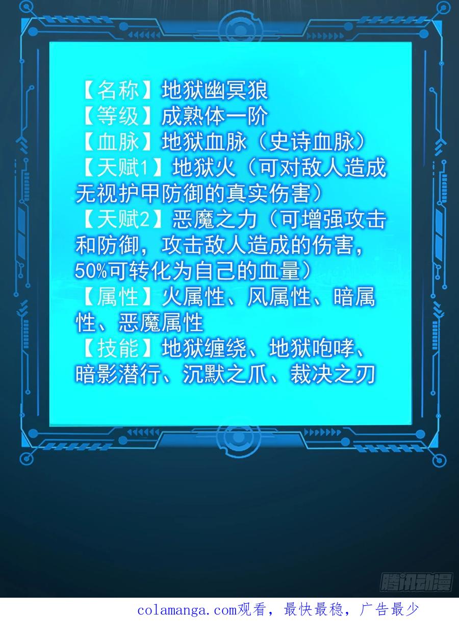 48.jpg
