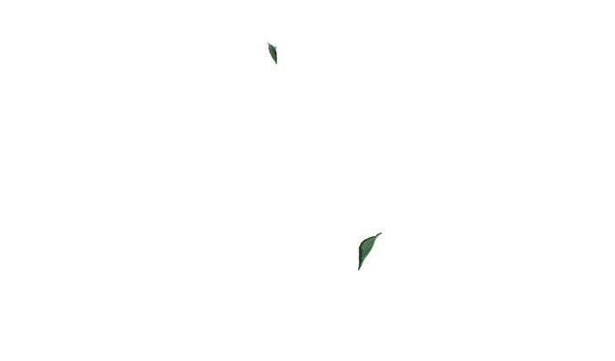 《妙龄皇子》[第101话] 求婚 第15页